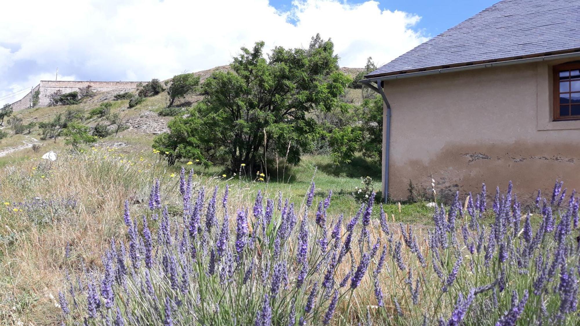 Corps De Garde De La Roche Villa Mont-Dauphin Eksteriør billede